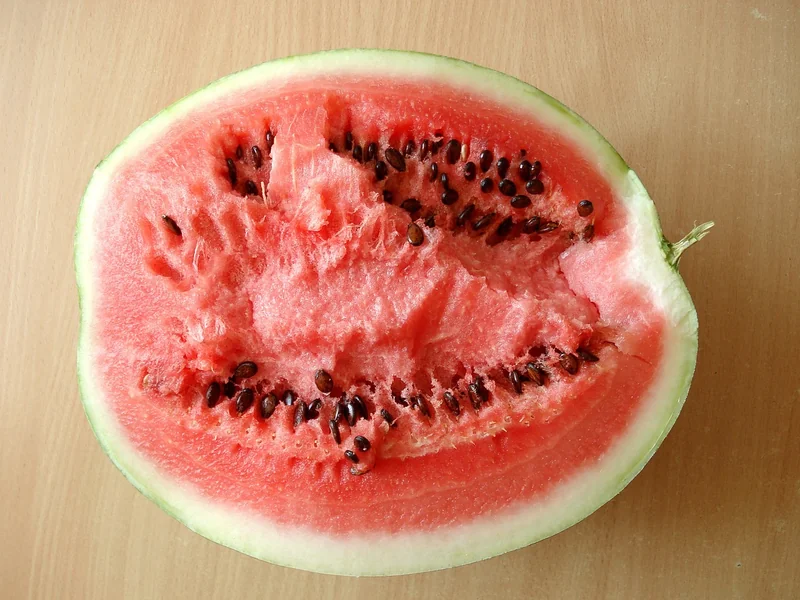 비대면 무직자 대출 조건 정리